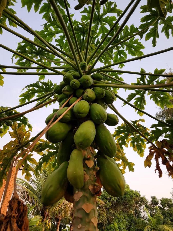 Pousada Terra Prometida Sao Pedro  Luaran gambar